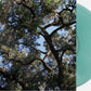 Charles Manson "Trees" LP (GREEN Vinyl)