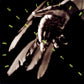 Bad Religion "Generator" LP (GREEN/CLEAR GALAXY Vinyl)