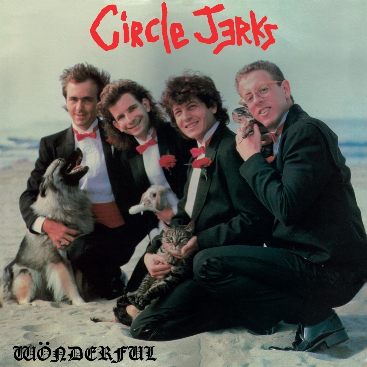 Circle Jerks "Wonderful" LP