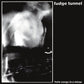 Fudge Tunnel "Hate Songs In E Minor" LP (ORANGE Vinyl)